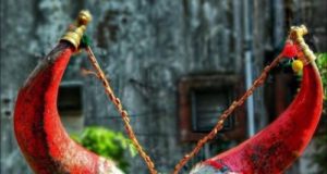 संत भूदेव गोसाई महाराज गौ सेवा ट्रस्ट की बैठक