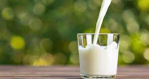 इम्युनिटी बूस्टर है देसी गाय का दूध