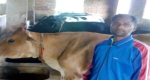 World Milk Day: खास रिपोर्ट – गऊ माता ने बनाया लखपति