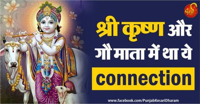 2019_8image_09_21_235671887gaumatamain-ll