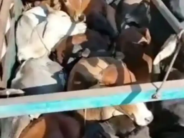 b9782d9ff07082bc7742cecfa7637d521670866920266487_original