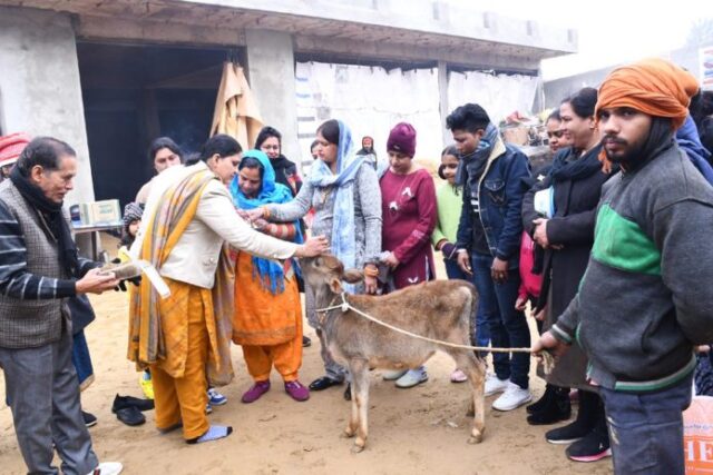 06_Womens-power-696x464 (1)