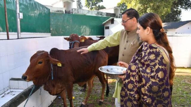 WhatsApp-Image-2023-01-29-at-12.16.07-1