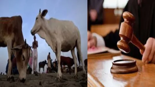 imgonline-com-ua-twotoone-4oDLPureeS-1