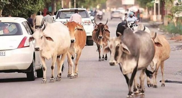 whatsapp-image-2023-01-05-at-51508-pm