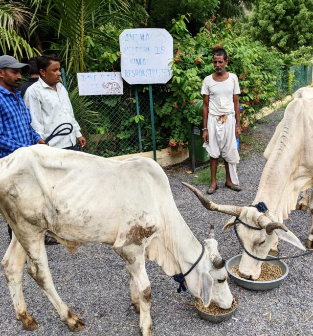 tipl_1627620304_030739100