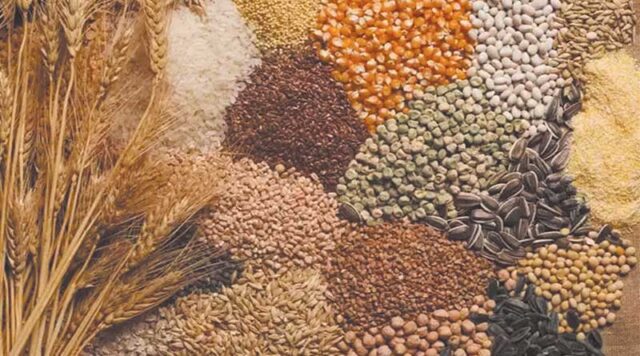 Untitled-1-Recovered-13