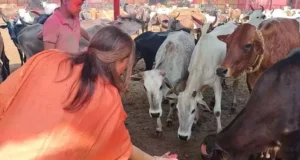 मंत्री रेखा ने महादेव का पूजन और गौ सेवा कर मनाई होली