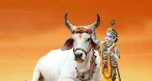 इस मंत्र के साथ गौ माता को प्रणाम करना चाहिए।