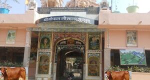 श्री गोपाल गौशाला में गिर गाय का होगा पालन