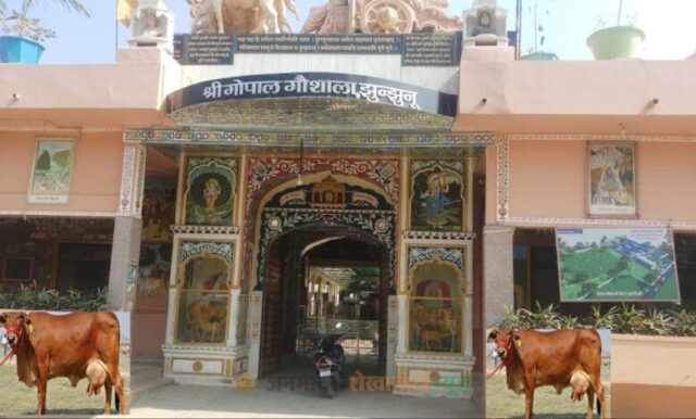 70220750-cb76-4114-9477-2cfd6f733bc2-1-780x470