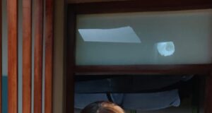 फिल्मों से लेकर टीवी शो तक, भक्ति राठौड़ कर रही है बैक टू बैक शूट