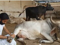 महंत श्री चेतन रामजी महाराज ने विदेशी धरती पर दिया योग और सनातन धर्म का संदेश
