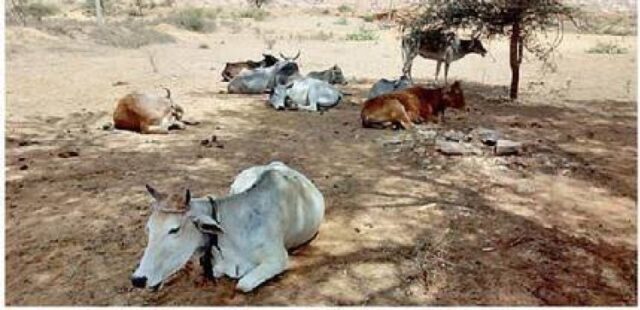 image_750x_660d962d15b98