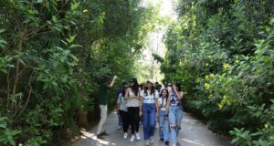 अनंत अंबानी के वंतारा में एक असाधारण तीन दिवसीय कार्यक्रम