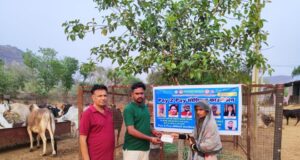 भौंरंगी गौशाला में डलवाया गौ-माताओ को चारा