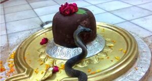 संगमेश्वर महादेव जहां नागराज शिवलिंग से लिपटते हैं