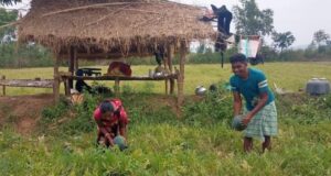 मेहनतकश किसानों के प्रति नीति और नजरिया बदलना आवश्यक*