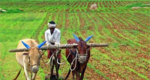 *देश की समृद्धि के लिए सही नीति और रणनीति का चयन आवश्यक*