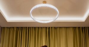 नारायण राणे के साथ उर्वशी रौतेला ने 7 लाख का लहंगा पहना