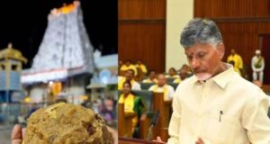 अब तिरुपति प्रसादम् के लड्डुओं में चर्बी की मिलावट*