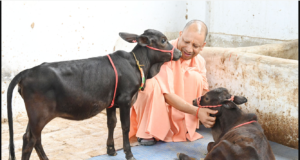 महाराज जी गो संरक्षण व संवर्धन हेतु पूर्णतः प्रतिबद्ध हैं