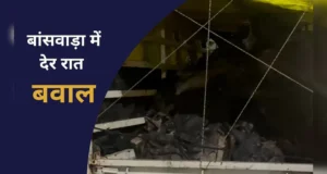 ऑटो में मांस और चमड़े की हो रही थी तस्करी