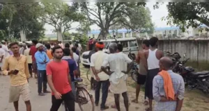 दवाई वाला चारा खाते ही मर गई गौशाला की सैकड़ों गाय