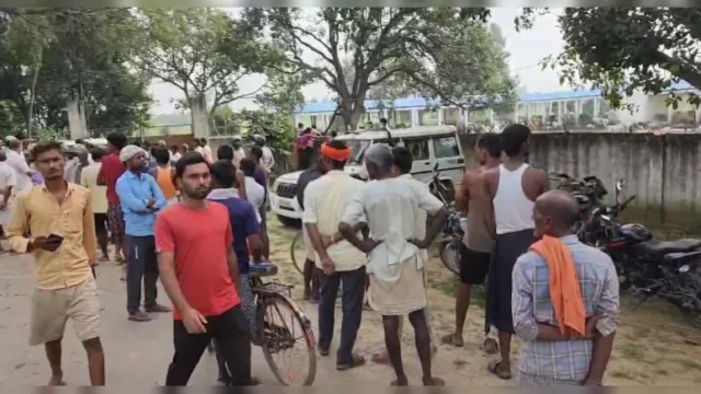 दवाई वाला चारा खाते ही मर गई गौशाला की सैकड़ों गाय