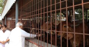 ‘ गऊ भारत भारती ‘ का अहमदाबाद संस्करण जल्द ही शुरू होगा