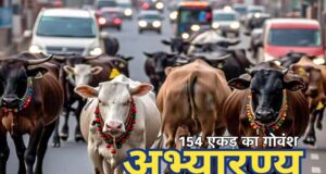 छत्तीसगढ़ में गौवंशों के लिए CG में बनेगा 154 एकड़ में अभ्यारण्य