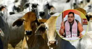 अधूरा रह गया गौ अभ्यारण्य, अब भाजपा सरकार ने खड़े किए हाथ