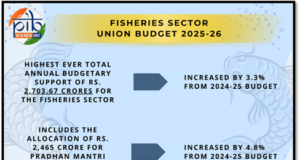मछली पकड़ने के जाल डालना सफलता का पैमाना