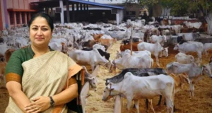दिल्ली में गौशालाओं का होगा सर्वे: सरकार बना रही बड़ी योजना