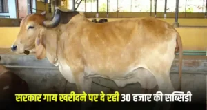 दुग्ध उत्पादन में हरियाणा अग्रणी* – मुख्यमंत्री नायब सिंह सैनी