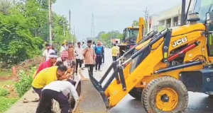 एक साथ 8 गायों की मौत