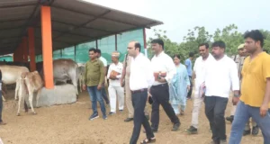 वृहद गौ-आश्रय स्थल पहाड़पुर का औचक निरीक्षण
