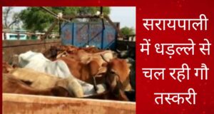 सरायपाली में धड़ल्ले से चल रही गौ तस्करी
