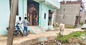 MP MURAINA NEWS – प्रतिदिन बिजली के खंभों से चीपककर गोवंश की हो रही मौत