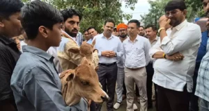 निराश्रित गौ वंश की सेवा और घायलों की शल्य चिकित्सा