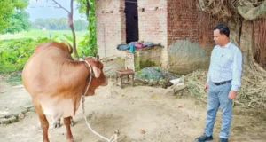 गौ-पालन हेतु 80 हजार से 31.25 लाख तक अनुदानआवेदन प्रारंभ