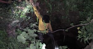 कुएं में गिर रहे बेसहारा गौवंश व जीव जंतु गौसेवक जान जोखिम में डालकर कर रहे बचाव कार्य