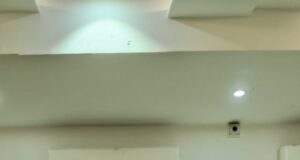 राजू कलाकार: ज़ीरो से हीरो बनने का सफ़र