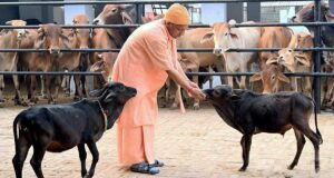 यूपी गौ आयोग और पतंजलि मिलकर दे रहे गौ संरक्षण को बढ़ावा