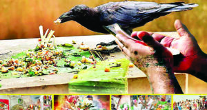 श्रद्धा से किया गया कर्म है श्राद्ध