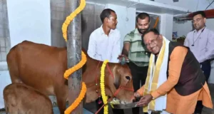 गोवर्धन पूजा पर मुख्यमंत्री विष्णु देव साय ने किया गौपूजन