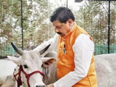 गाय, गोविंद और गौशाला : संस्कृति से समृद्धि की ओर मध्यप्रदेश की ‘गौ कथा’