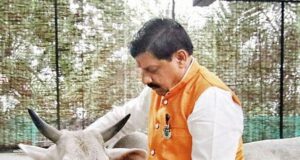 गाय, गोविंद और गौशाला : संस्कृति से समृद्धि की ओर मध्यप्रदेश की ‘गौ कथा’