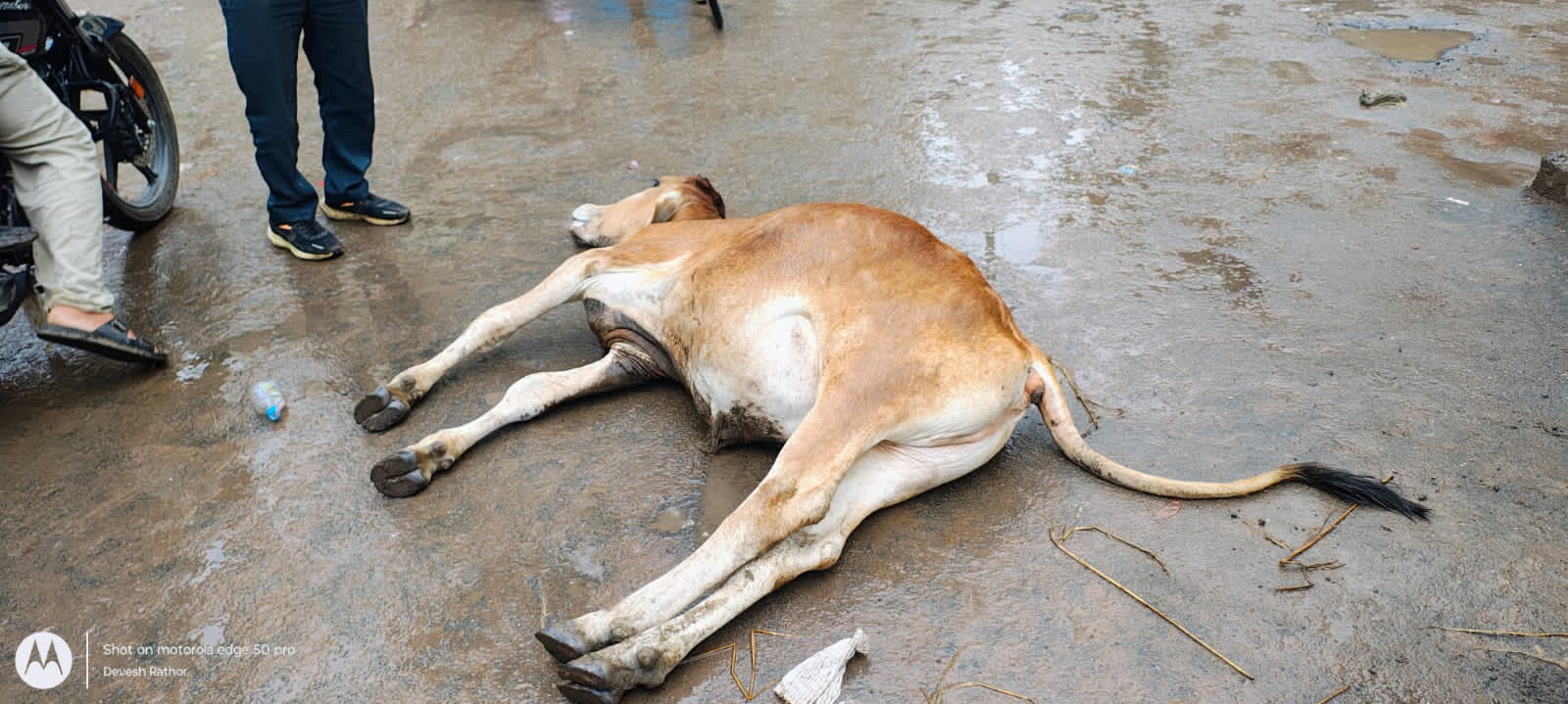 WhatsApp Image 2025-10-28 at 8.25.44 PM