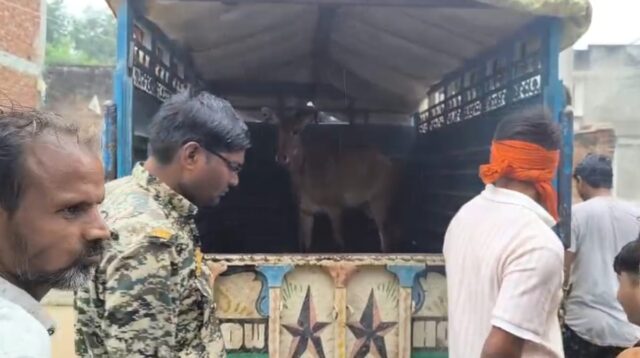 WhatsApp Image 2025-10-29 at 8.22.31 PM